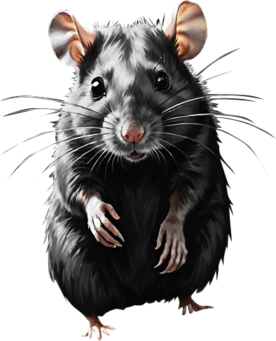RatPNG.png